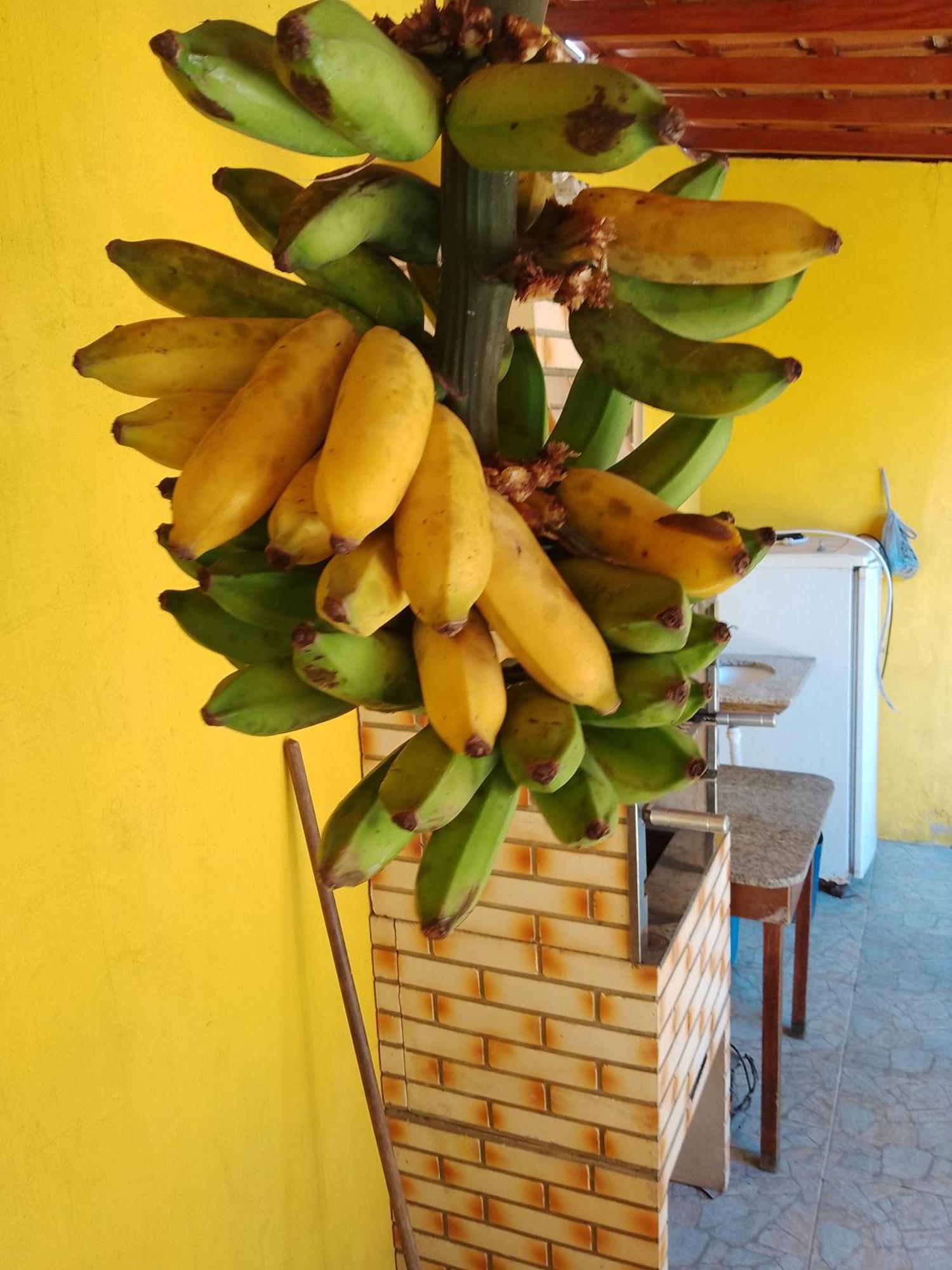 Casa De Temporada Lindas Cachoeiras 10 Araquari Dış mekan fotoğraf